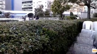 欧美A级毛片免费视频_欧美亚洲精品成人视频